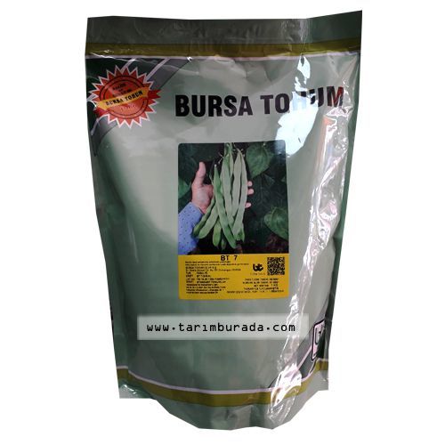 Sırırk Fasulye Tohum (Alman Ayşe 7 )  1 Kg