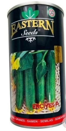 Oturak Hıyar Tohumu Erciyes  F1 – 2.500 Adet