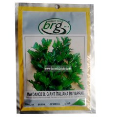 Maydonoz Tohumu İtaliana - 10 Gr