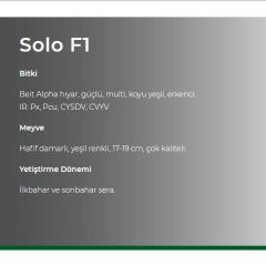 Hıyar Tohumu Sera Multi  Solo F1 - 500 Çekirdek