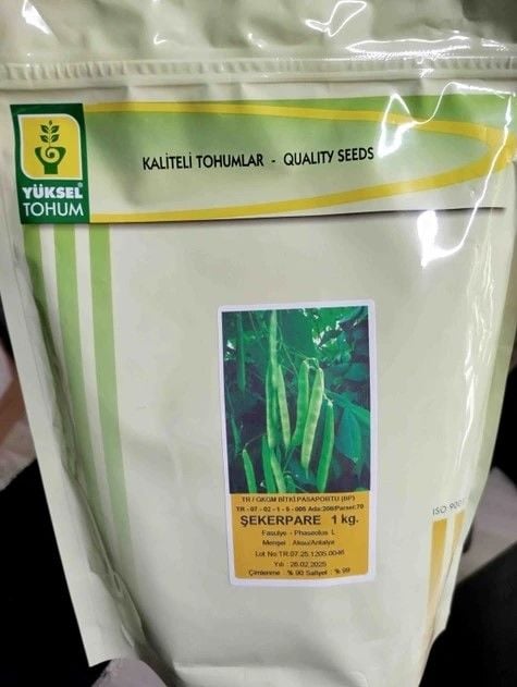 Sırık Fasulye Tohumu Şeker Pare (Y39)- 1Kg