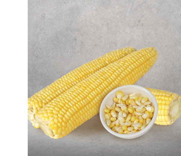 Sweet Corn Seed Merit F1 - 1 Kg
