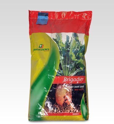 Hayvan Pancar Tohumu 10 Kg