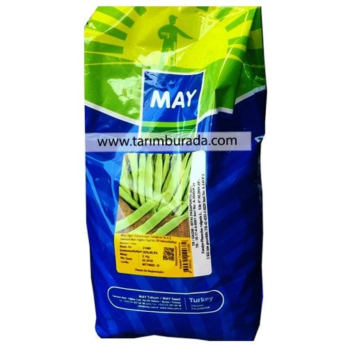 Bean Seed Oturak Gina - 2 Kg