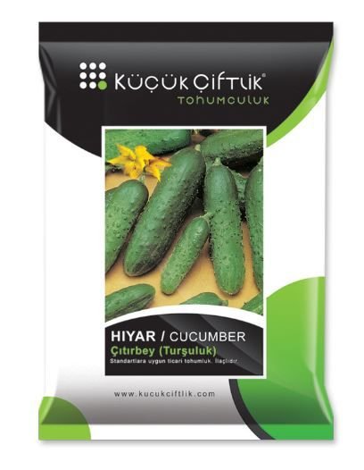 Turşuluk Kornişon Salatalık Tohumu  Çıtırbey   10 Gram