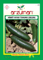 Selen Hıyar Tohumu F1 100 Adet