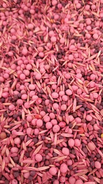 5'li Karışım Yem Bitkisi Tohumu 25 Kg