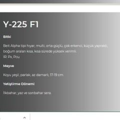 Sırık Hıyar Tohumu Sera Multi Y225 F1 - 500 Çekirdek