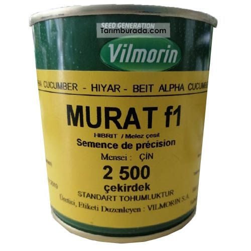 Hıyar Tohumu Murat F1 2500 Çekirdek