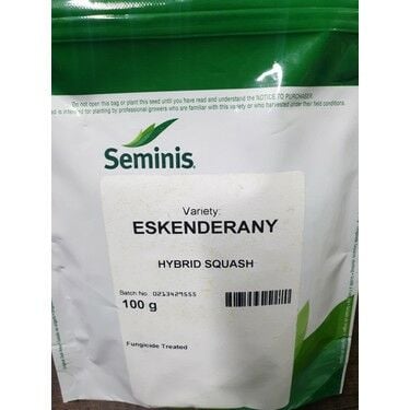 Eskenderany Hibrit Kabak Tohumu 100 Gram