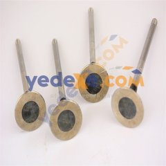 Egsoz Subap Tk 1.5 Dci K9K Tüm Motorlar
