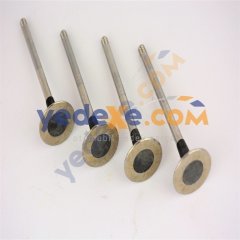 Egsoz Subap Tk 1.5 Dci K9K Tüm Motorlar