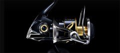 Shimano Stella SW 5000XG C