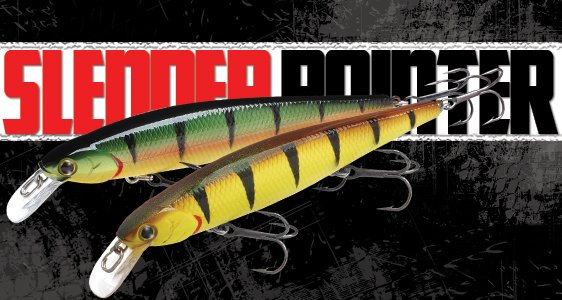 Slender Pointer 97MR Maket Balık