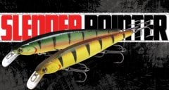Slender Pointer 97MR Maket Balık