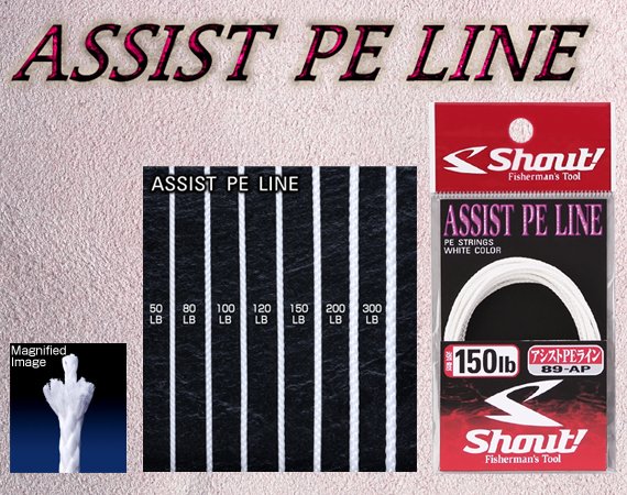 Shout Assist PE 89-AP  Assist