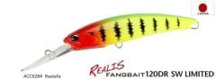 Duo Realis Fang Bait 120DR SW ACC0284 / Rasfata DUO