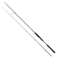 Daiwa Saltist AGS 2.70m 14-42 gr 2P Spin Olta Kamışı