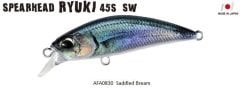 Duo Spearhead Ryuki 45S SW AFA0830 / Saddled Bream ND