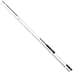 Daiwa Infeet Seabass II 272cm 14-42gr Seabass Kamış