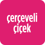 Çerçeveli Çiçek