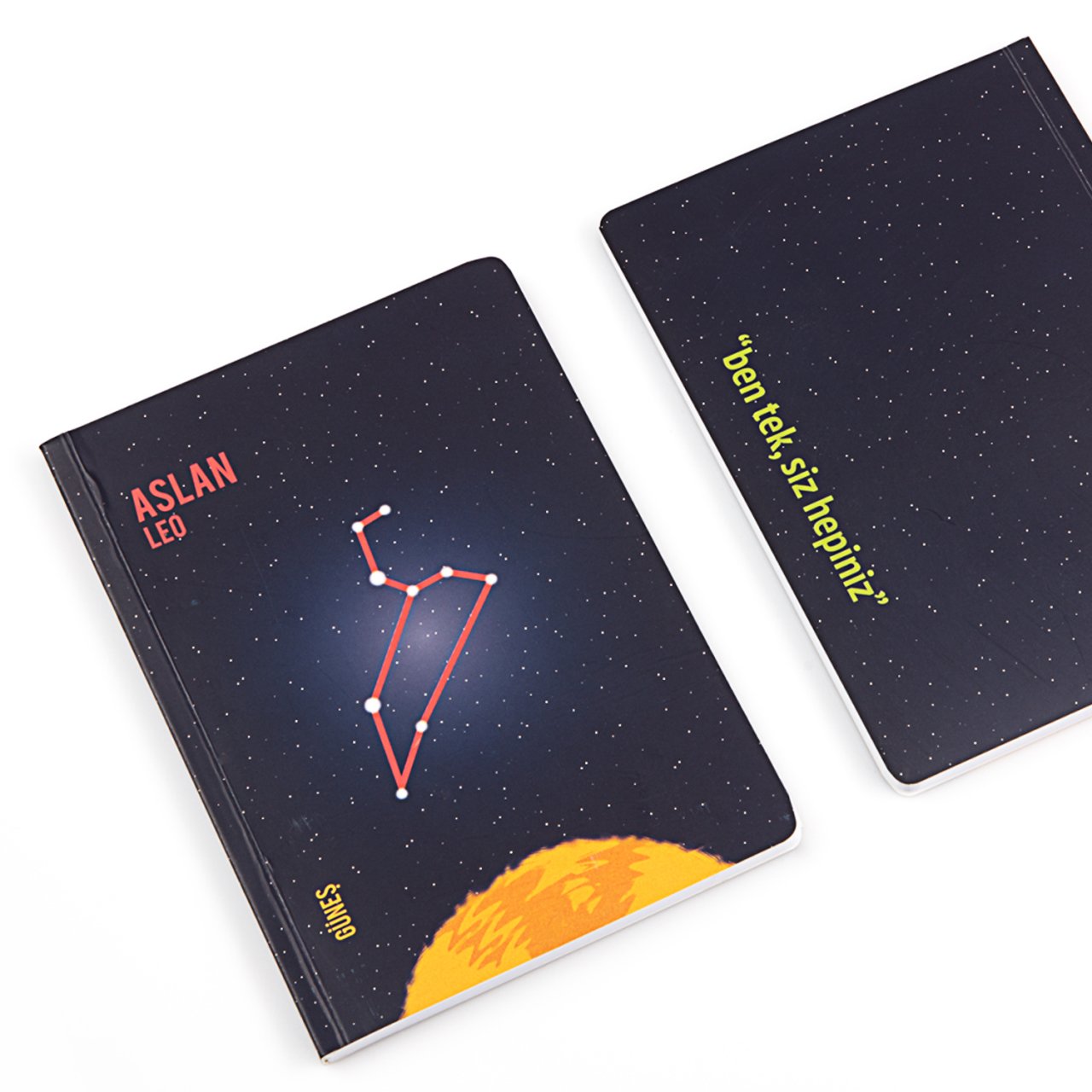 Burçlar Defter - Aslan