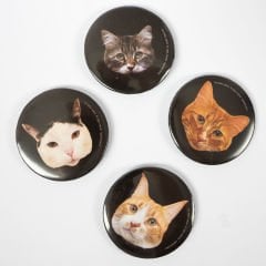 Kedi Magnetler