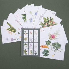 Flora Araştırmalar Derneği Kartpostal Seti - No.4
