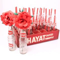 Hayatımsın Gazoz Kasa ve Şişeleri