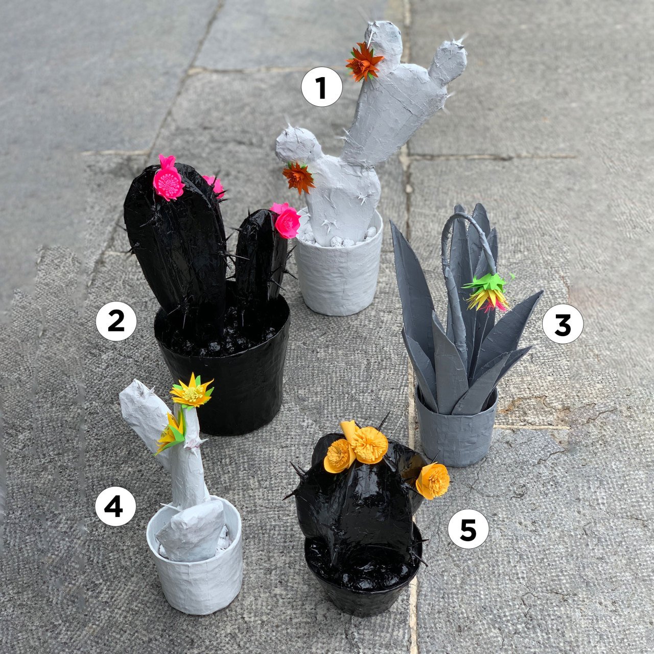 Papier Mache Kaktüsler