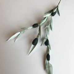 Zeytin Dalı