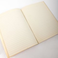 Kediyle Oynayan Çocuk Okul Defteri