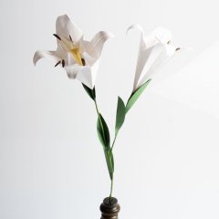 Siyah Vazosunda Lilyum