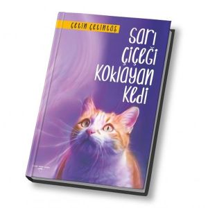 Sarı Çiçeği Koklayan Kedi