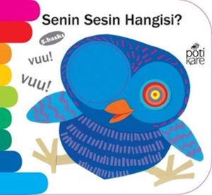 Delikli Kitaplar Serisi - Senin Sesin Hangisi?