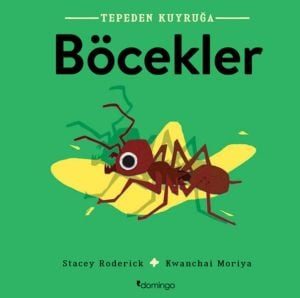 Tepeden Kuyruğa - Böcekler