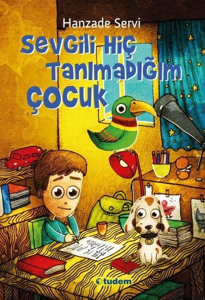 Sevgili Hiç Tanımadığım Çocuk