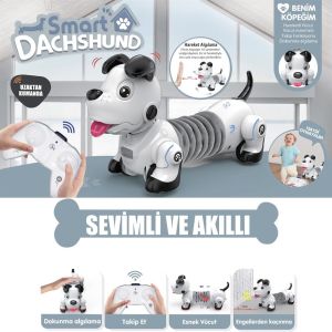 GL-777-603 U/K IŞIKLI VE SESLİ SEVİMLİ ROBOT -VRD