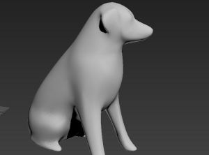 Labrador 3D191346