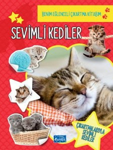 Sevimli Kediler