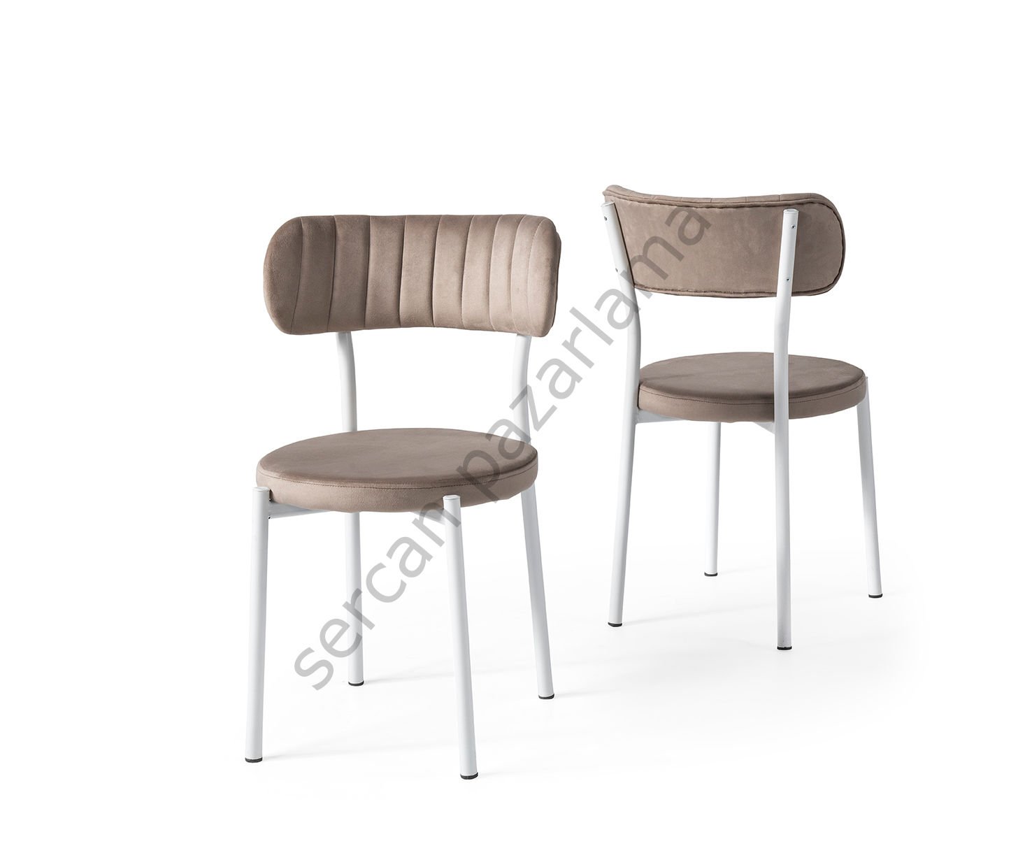 2382 - Beta Sandalye - Beyaz/Kahve