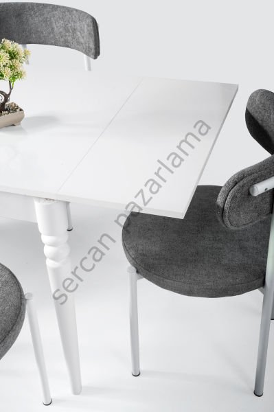 1225-2321 - Pınar Masa Sandalye Takımı - Beyaz