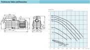 Aquastrong WPOOL 250/1-T      1.85kW  380V   Ön Filtreli Havuz Pompası