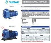 SUMAK DSMT 550/3   5.5 HP 380V  KENDİNDEN KLAPELİ POMPA