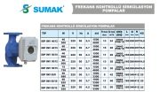 Sumak SSP 50-12  INV  DN50  220V Flanşlı Frekans Kontrollü Sirkülasyon Pompası