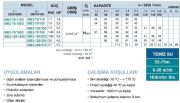 MOMENTUM, MB2-70/110, 1.5HP, PASLANMAZ ÇİFT KADEME POMPA, 380V