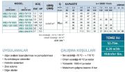 MOMENTUM, MB2-120/300, 4HP, PASLANMAZ ÇİFT KADEME POMPA, 380V
