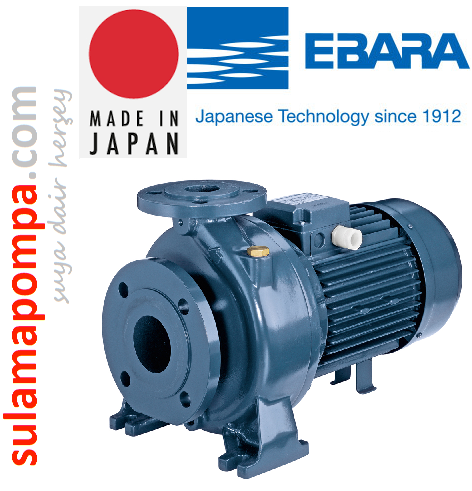 EBARA MD 65-200/18,5-25 HP 380w MONOBLOK SONDAN EMİŞLİ DÖKÜM SANTRİFÜJ POMPA