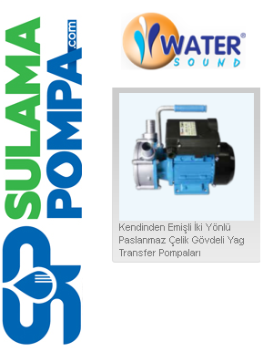 WATER WS-2515 BEM-20 0.6 HP 220V KENDİNDEN EMİŞLİ PASLANMAZ ÇELİK YAĞ TRANSFER POMPALARI