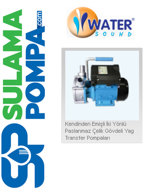 WATER WS-2516 BEM-35 1.1 HP 220V KENDİNDEN EMİŞLİ PASLANMAZ ÇELİK YAĞ TRANSFER POMPALARI